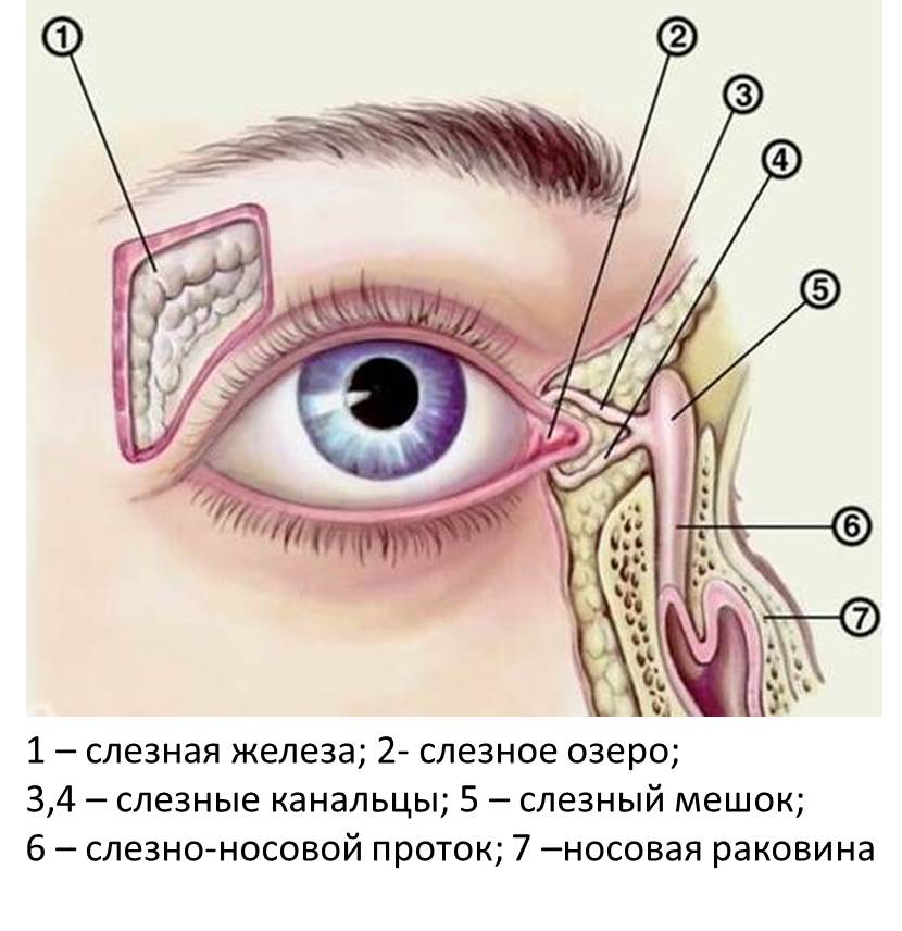 Обои на рабочий стол Девушка со слезами на глазах, художница 