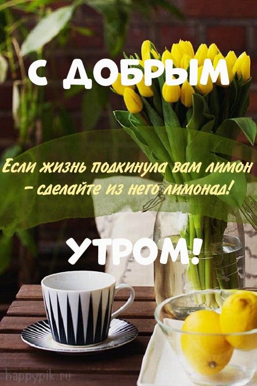 Доброго утра! Хорошего дня!