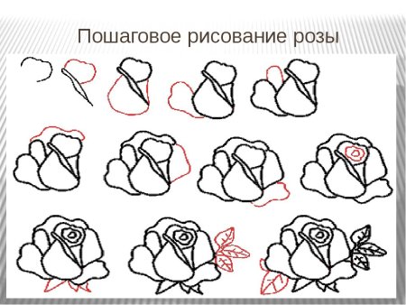 легкая розовая линия растение цветок 