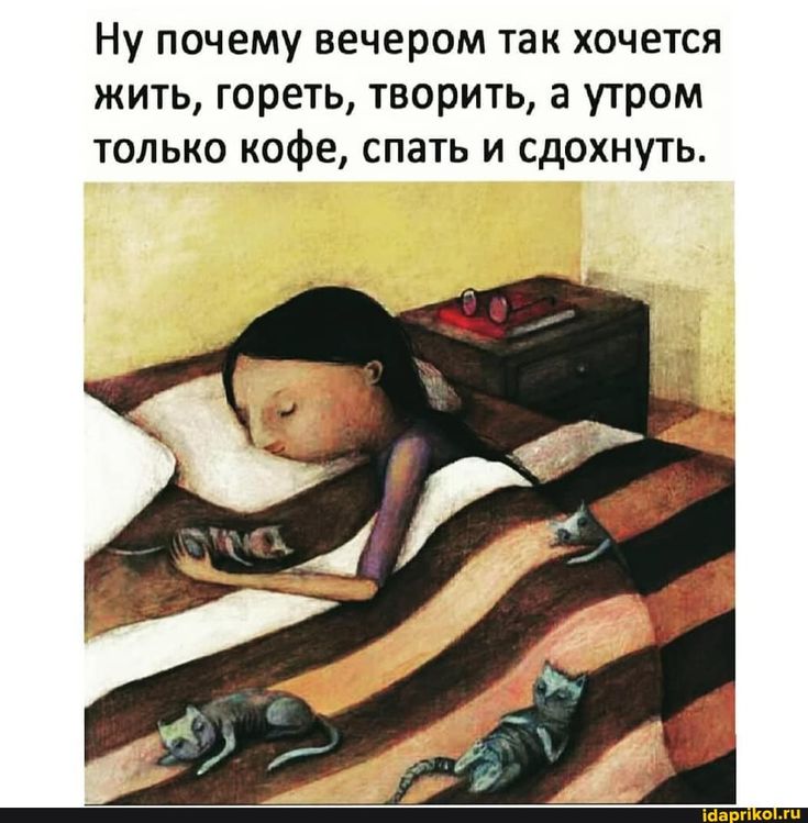 БЫТОВАЯ ТЕХНИКА ◇ ПОСУДА ◇ ИНГУШЕТИЯ 