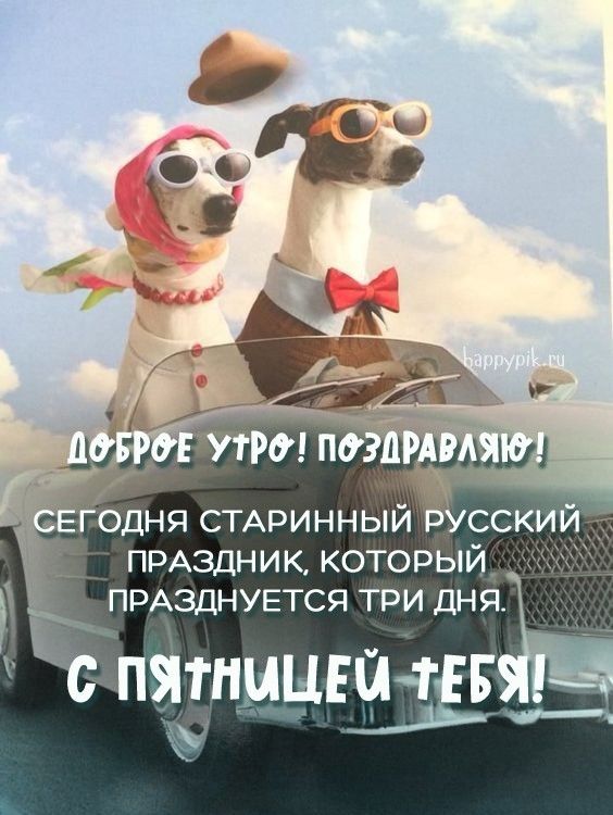 С ПЯТНИЦЕЙ! 🥳 юмор 