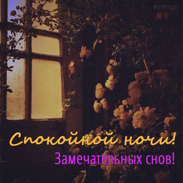 Чудесных снов