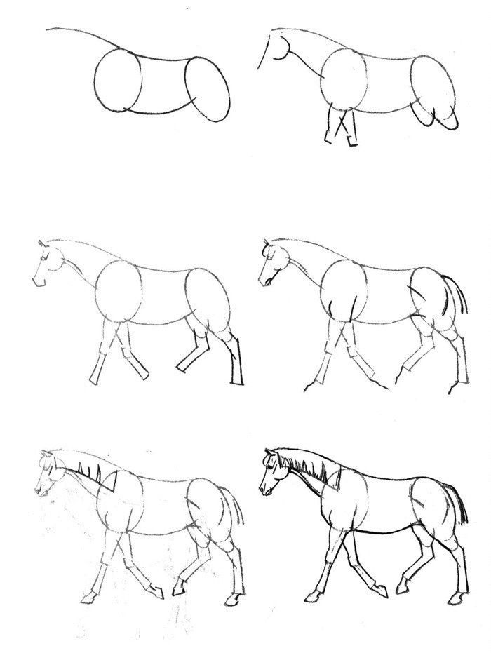 Лошадь Рисунок Изображения – скачать 
