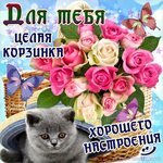 Открытка С Добрым утром! Хорошего дня 