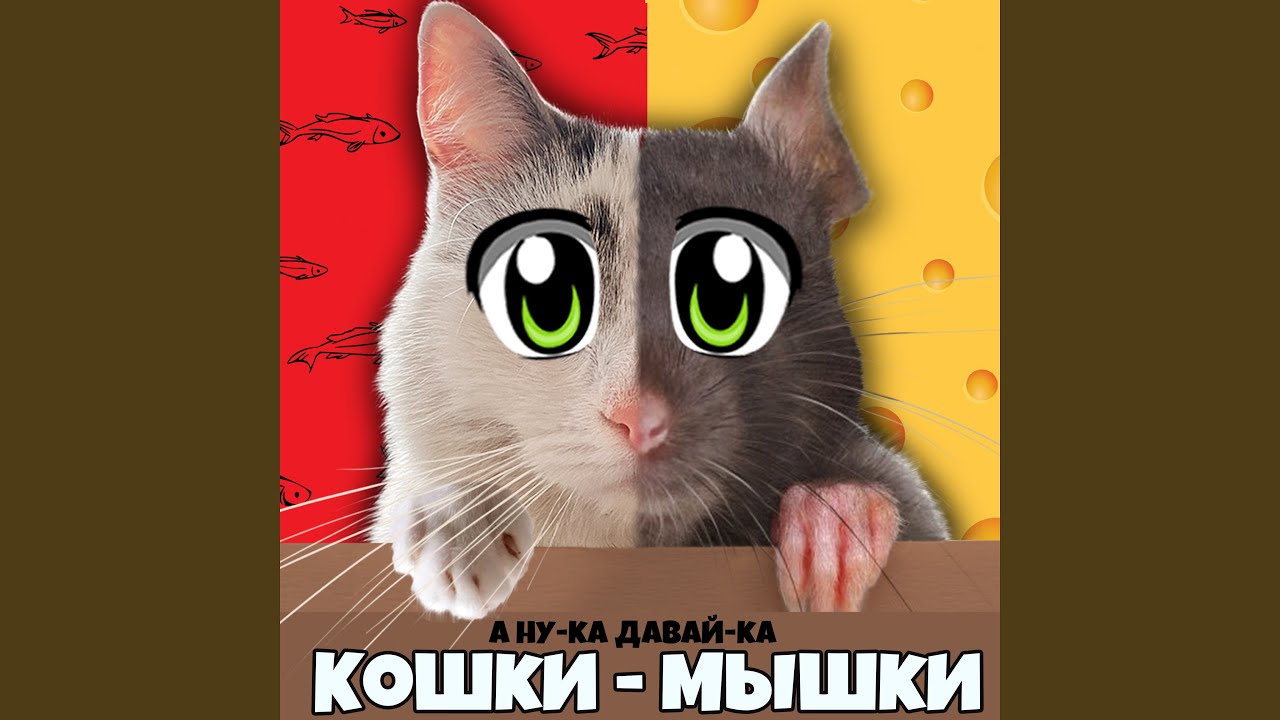 Правила игры в «Кошки-мышки»