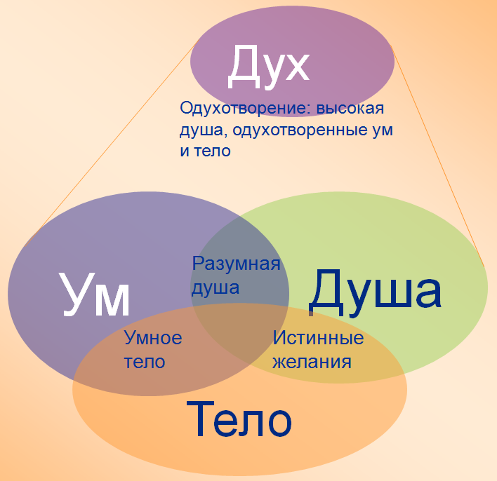 Открытки цветы хорошему человеку