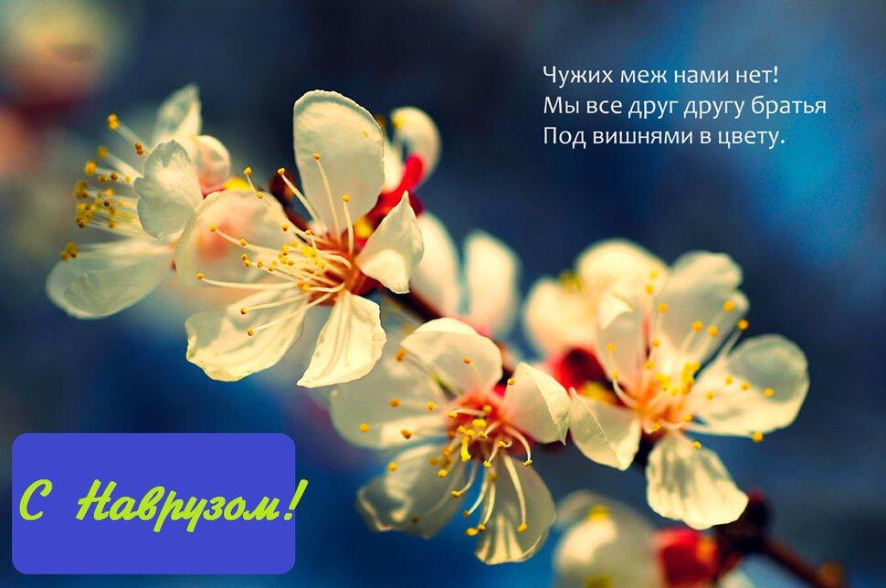 Наурыз🌹Навруз красивое поздравление с праздником Навруз🌹Новруз