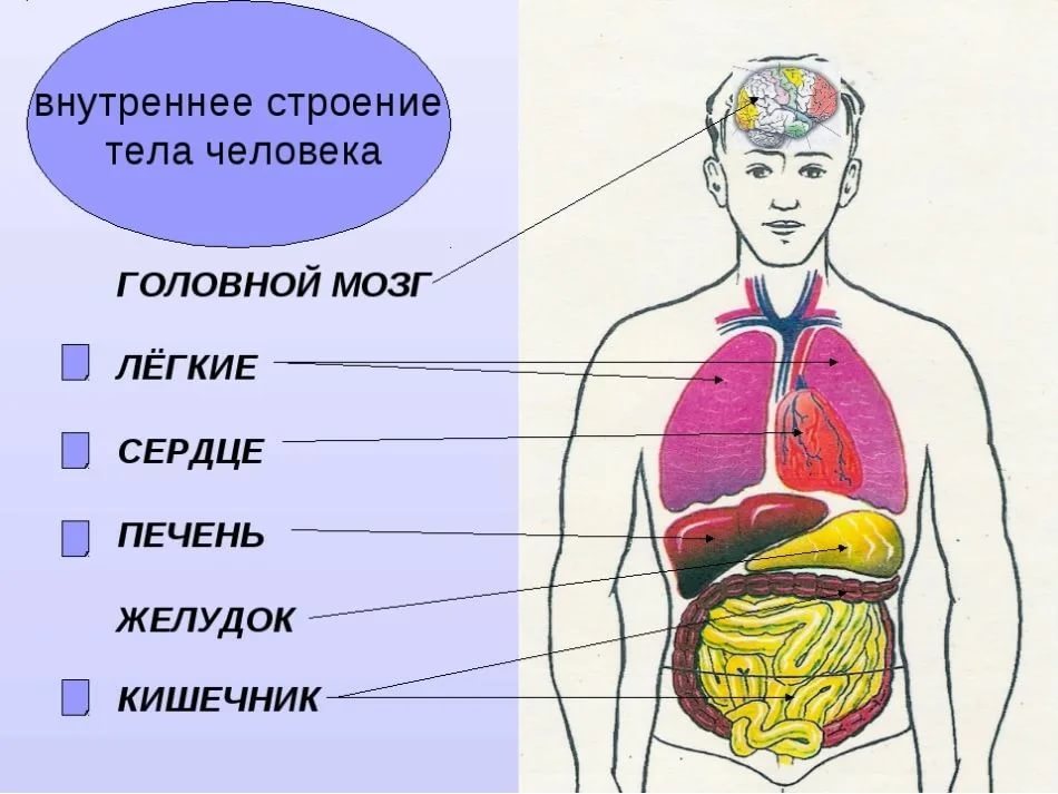 О проводимой в операционной цистоскопии 