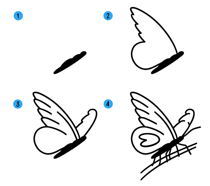 Бабочка рисунок для детей поэтапно легко карандашом 
