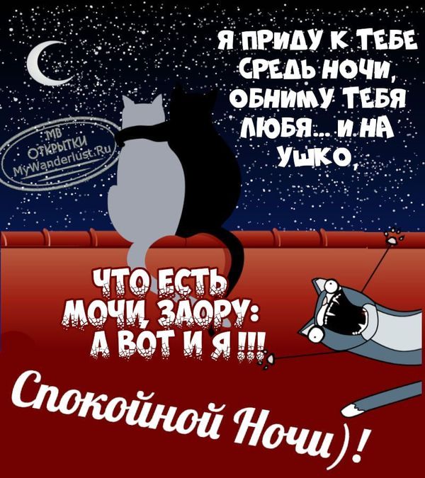 Спокойной ночи