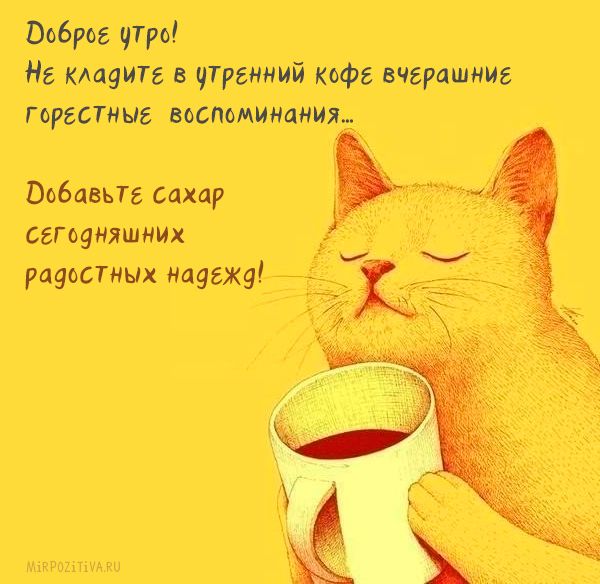 Утро без кофе — не утро