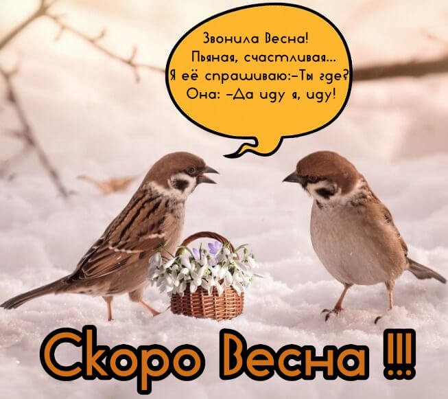 Веселая Живая Природа Изображения – скачать бесплатно на Freepik