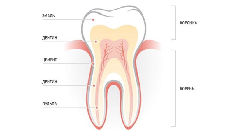 Почему сгнил корень зуба?