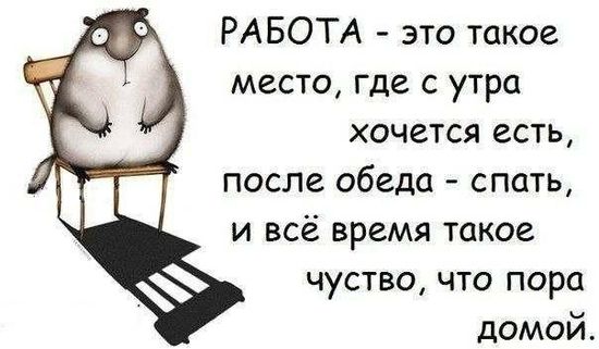 Работать дома или в офисе? 12 картинок 