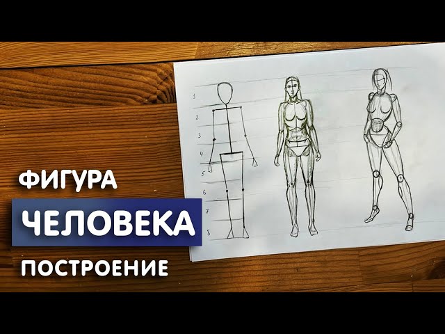 Академический рисунок фигуры человека 