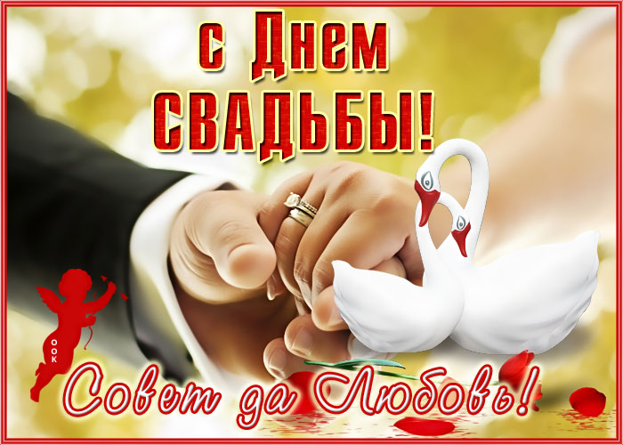 Открытка С днем свадьбы! Луковки Cards For You And Me 