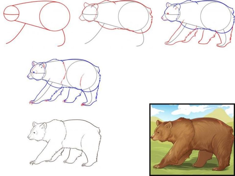 Как нарисовать медведя Валеру / how to draw a Bear/ рисунки 