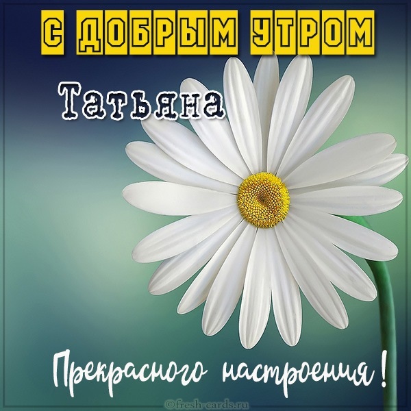 Доброе Утро Танечка 