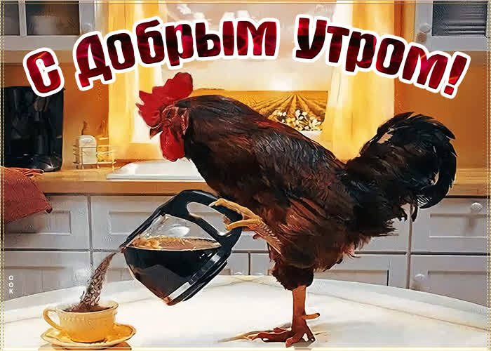 Доброе утро бабушка