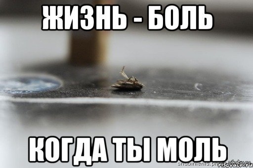 Жизнь