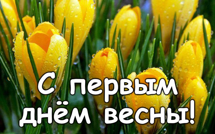 Открытка С первым днём весны! Пожелать хочу невероятного 