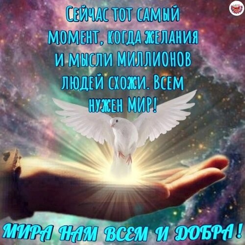 Поиск зверей