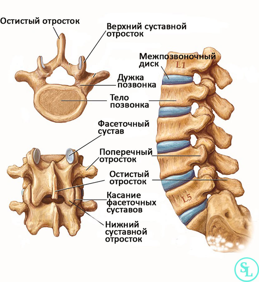 Опухоли надпочечника