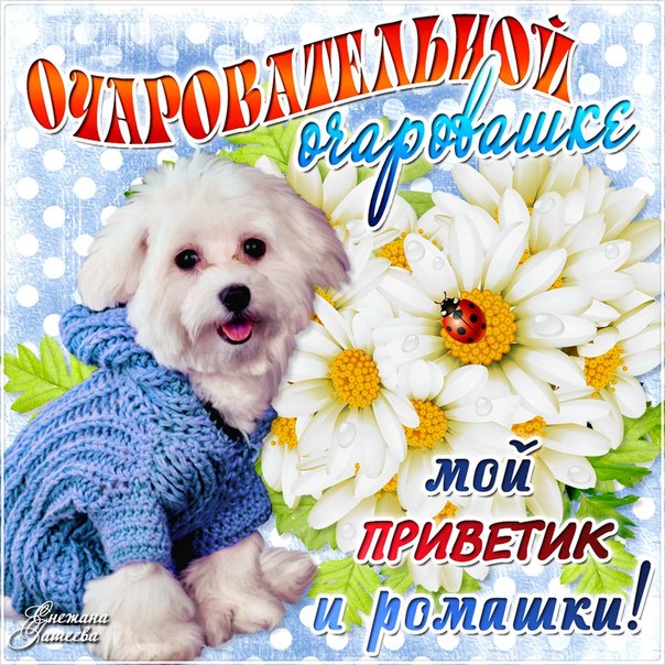 Открытки 