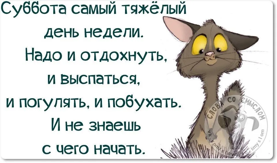 Всем доброго хорошего субботнего утра, хорошего настроения 