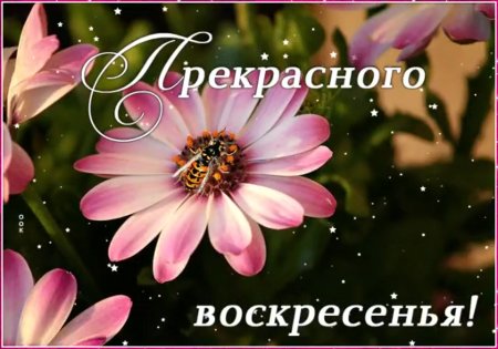 Открытки и картинки на воскресенье