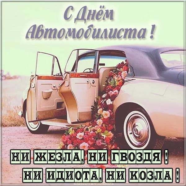 День Автомобилиста Автоледи 