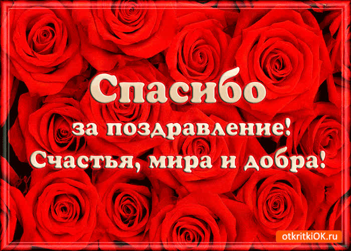 Еще раз всех благодарю за поздравления! Уважаемая Анастасия 