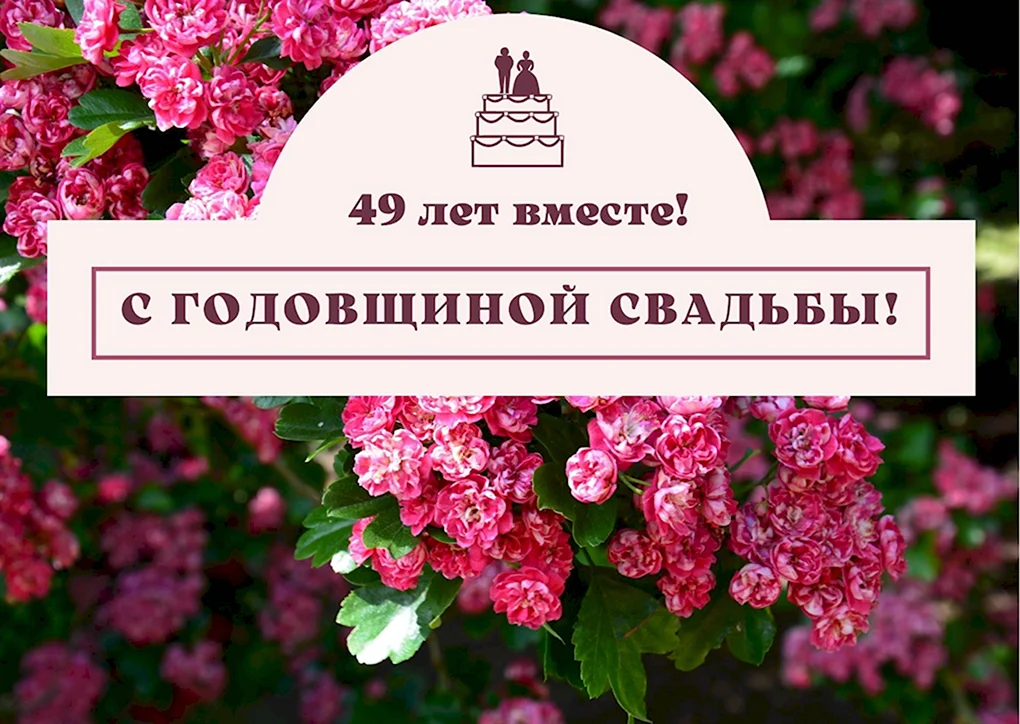 Поздравления на Кедровая свадьба 49 лет в прозе