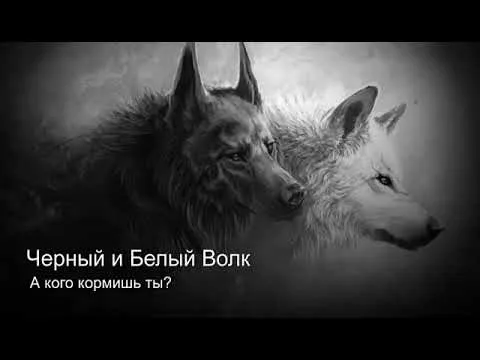 Лучшие притчи 🐺 Притча про волков 