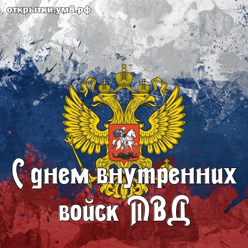 С Днём Сотрудников Мвд 