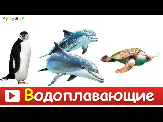 Настольная игра МиМи Мемо Морские животные 