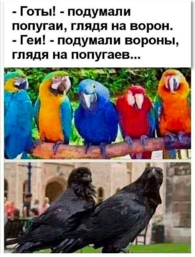 Юмор каждый день