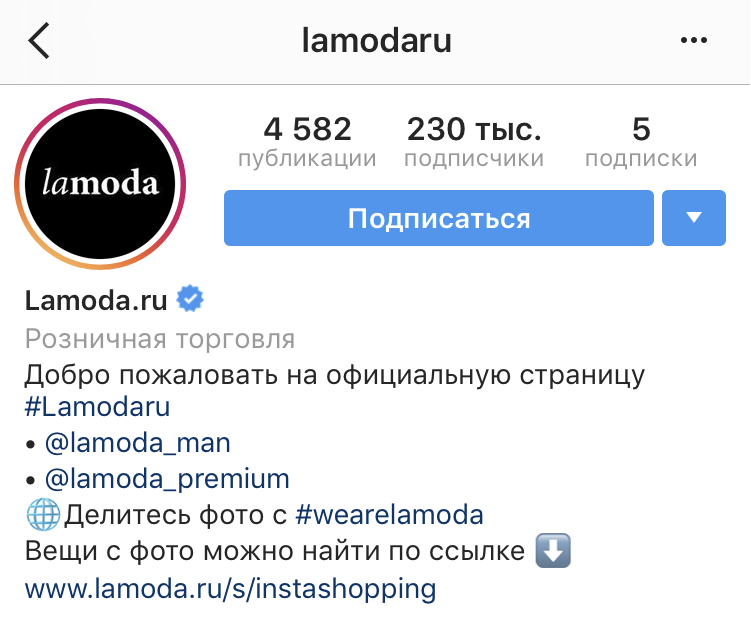 Шаблон интерфейса профиля Instagram с 