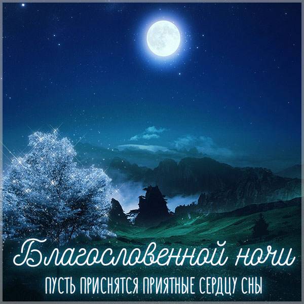 Спокойной ночи! #Природа 