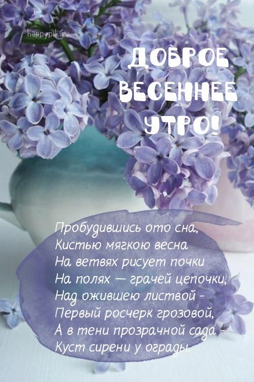 Доброе весеннее утро!