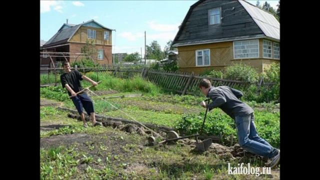 Юмор каждый день