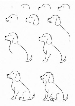 Drawing of a dog