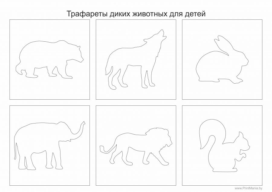 Раскраска Дикие Животные Изображения – скачать бесплатно на 