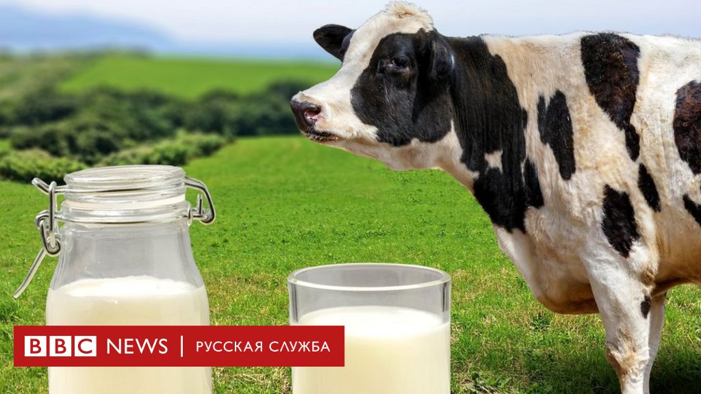 Упаковка для молока и молочной продукции