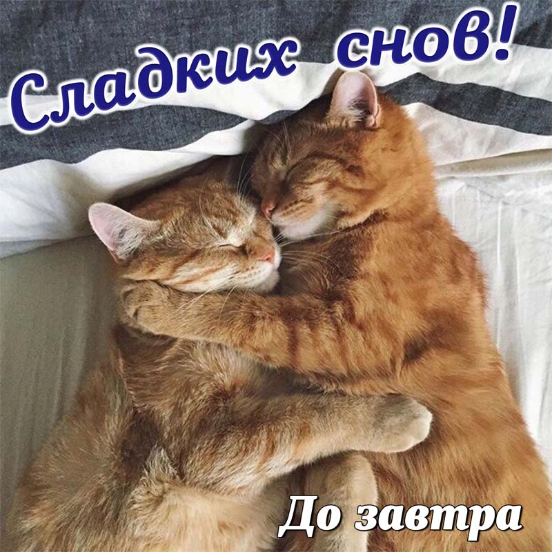 Сладких снов любовь