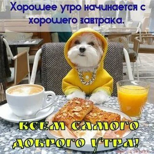 Instagram photo by Доброе утро 