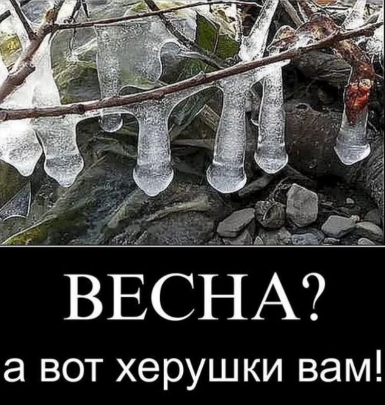 Открытки с первым днем весны