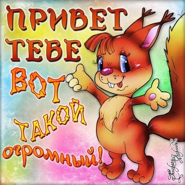 Полотенце «Звери с приветом