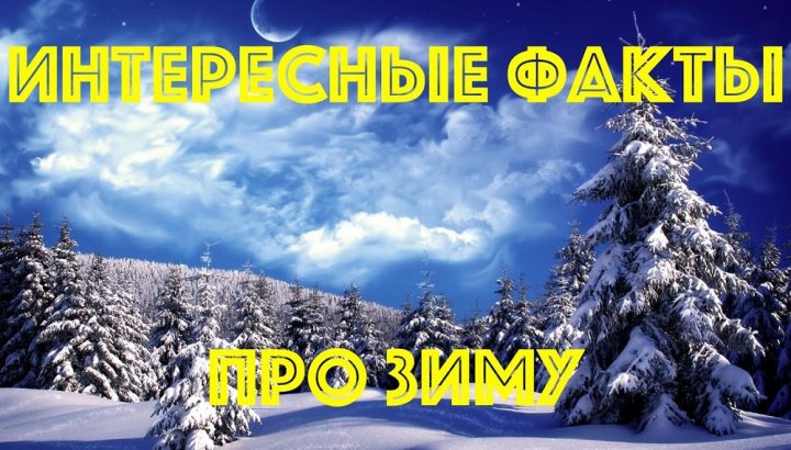 Будет сложно и переживут не все — прогноз погоды на зиму 