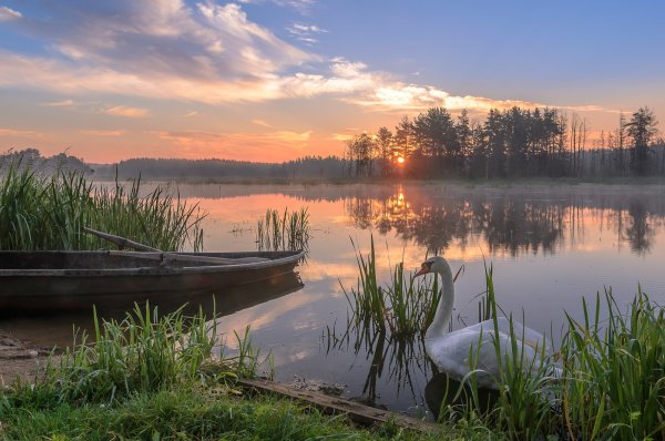 12 самых красивых городов Беларуси и 